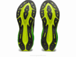 Asics Novablasto 3 Zapatillas de Correr Yeso Negro - Image 7