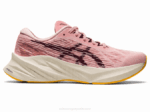 Asics Novablasto 3 Zapatillas Rosa Helada Marte Profundo