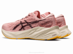 Asics Novablasto 3 Zapatillas Rosa Helada Marte Profundo - Image 3