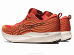 Asics velocidad de evoride 2LVJ501 latte especias negro comodidad y estilo - Image 3