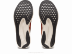 Asics velocidad de evoride 2LVJ501 latte especias negro comodidad y estilo - Image 7