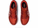 Asics Velocidad Mágica 2 Zapatillas Latte Especias Blanco - Image 6