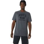 Camiseta Asics Voleibol Gráfico Brezo Gris Oscuro