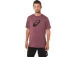 Camiseta Manga Corta Asics Brezo Profundo de Marte Estilo y Comodidad
