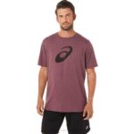 Camiseta Manga Corta Asics Brezo Profundo de Marte Estilo y Comodidad