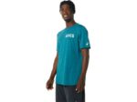 Camiseta Rayas Amanecer Asics Terciopelo Brezo de Pino - Image 3