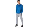Sudadera Asics Hombre Tecnología Capucha Lago Brezo - Image 4